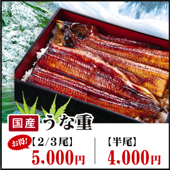 芸州国産うな重