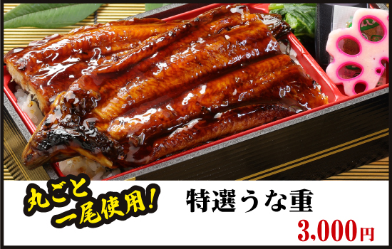 いっちょう特選うな重
